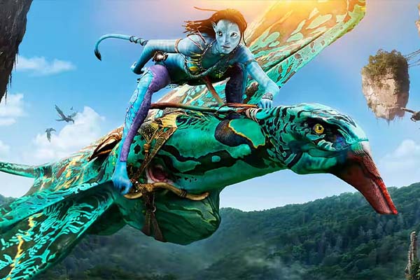 Degree in Animation & VFX